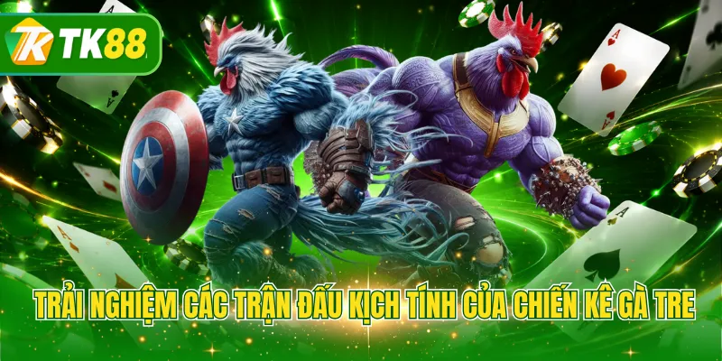 Trải nghiệm các trận đấu kịch tính của chiến kê gà tre